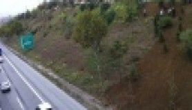 Otoyol kenarları renkleniyor