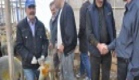 Avcılar Kurban Bayramına hazır