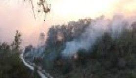 İsrail'de yangın çıktı 40 kişi öldü