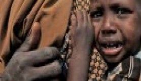 Dünyanın gözü önünde ölmeyi bekliyorlar