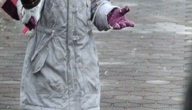 Google Çılgınlığı