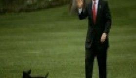 El Kaide’den ölüm listesi