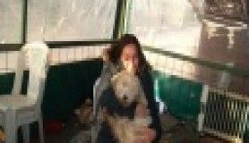 Barınaktan köpek sahiplendi