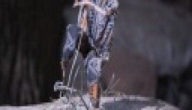 En iyi animasyonlar ve kısa filmler