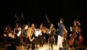 Dünyanın keman örnekleri  Küçükçekmece'de