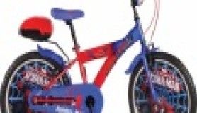 Her çocuk bir bisikleti olmasını hayal eder