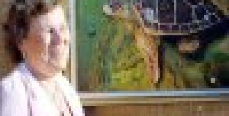Caretta sevgisi ressam yaptı