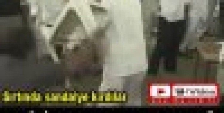 Politikacıya meydan dayağı
