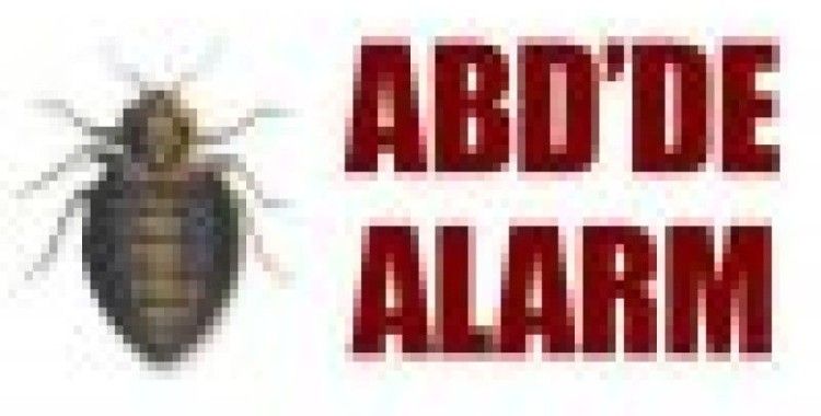 ABD'de tahta kurusu istilası