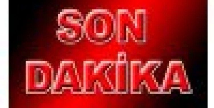Komşuların köpek kavgası: 1 ölü