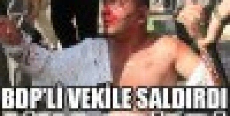 Akın Birdal'a saldırmak istedi linç edildi