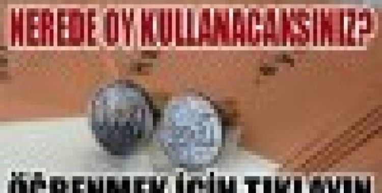 Nerede oy kullanacaksınız?