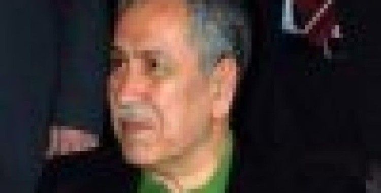 Bakan Arınç İran'a gitti