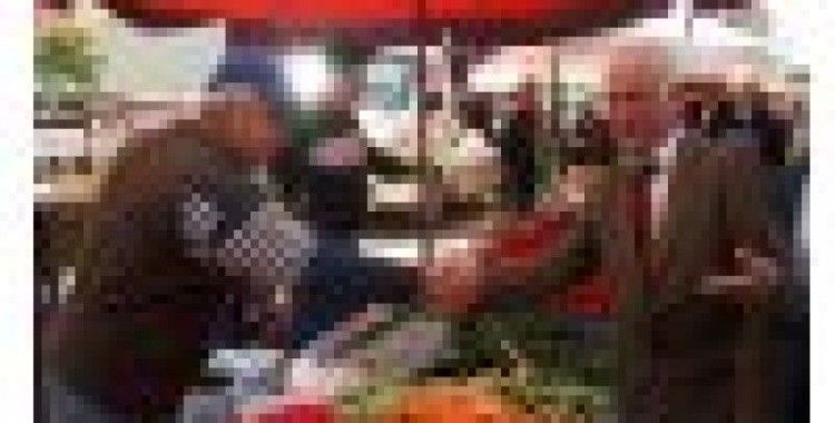 Bağımsız Milletvekili adayı Özcan Gelibolu'da
