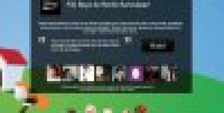 Filli boya ile renkli barınaklar projesi başlıyor