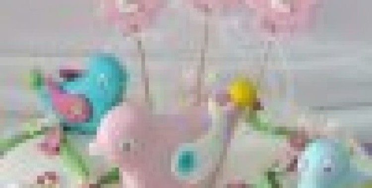 Pastacı rapunsel'den kişiye özel pasta eğitimleri başlıyor