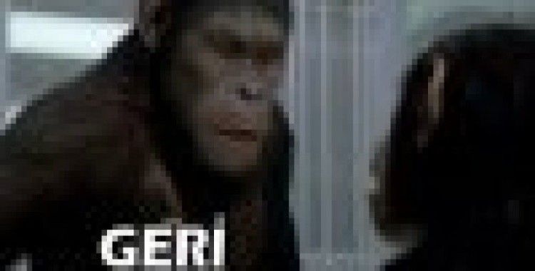 6 yeni film vizyonda