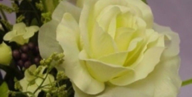 Tasavvuf penceresinden, 'Ramazan günlüğü 24. gün'