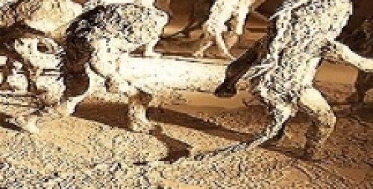 İmkansızın galerisi