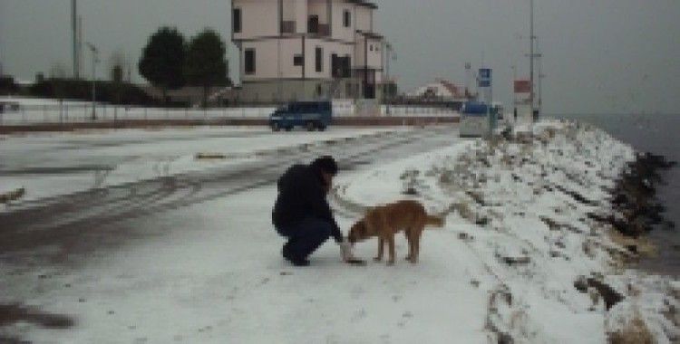 Kar yağdı dostlar unutulmadı