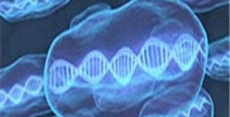 Sentetik DNA üretildi