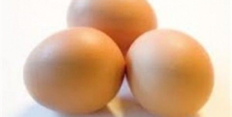 Yumurta üretimi arttı