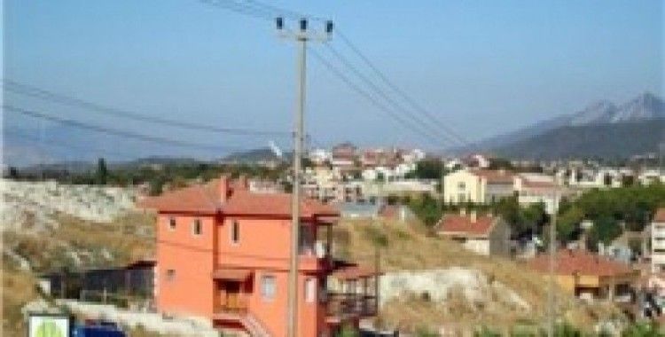 11 sokak köpeği kıymayla zehirlendi