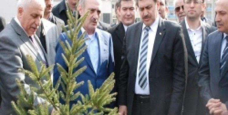Bakan Eroğlu fidan dikti