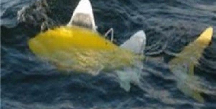 Deniz 'savaşı'nın son ajanı