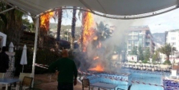 Alanya'da otel bahçesinde ağaç yangını