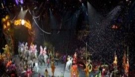 Dünya'nın en ünlü sirkleri arasında yer alan Circo Italiano İstanbul'da