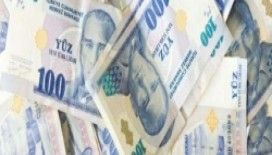 Deli taklidi yaparak 100 tl çaldılar