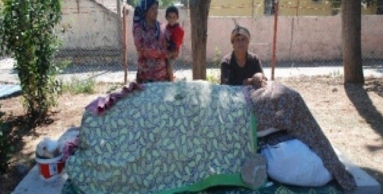10 kişilik Suriyeli aile parkta yatıyor
