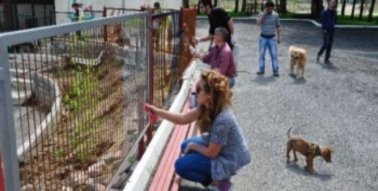 Hayvanseverlerden barınak arazisi satışına protesto