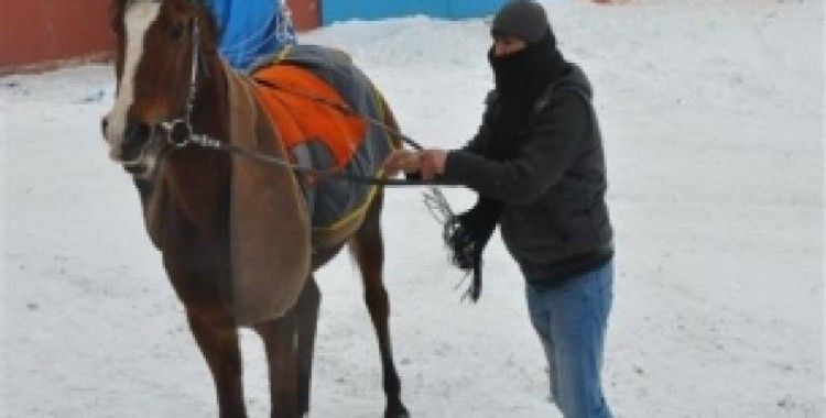 At sırtında kaçak elektrikle mücadele