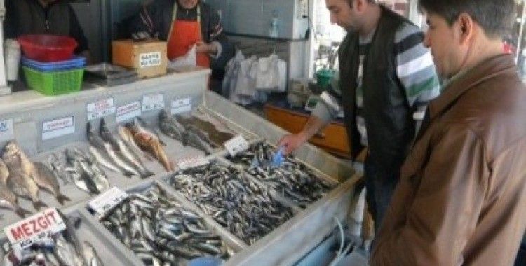 Balık fiyatları Tekirdağ'da el yakıyor