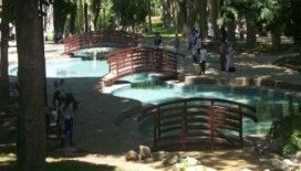 İstanbul'un en görkemli 100 bahçesi kitap oldu