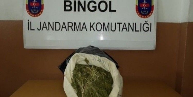 Bingöl'de 36 kilogram esrar ele geçirildi
