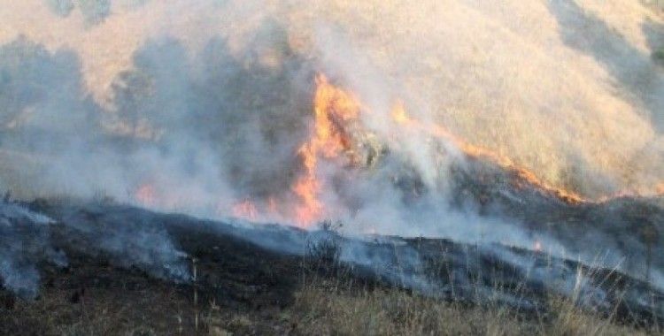 Elazığ'da korkutan orman yangını