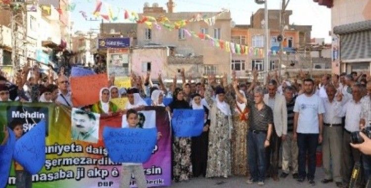 DBP ve HDP, Lice'deki olayları protesto etti