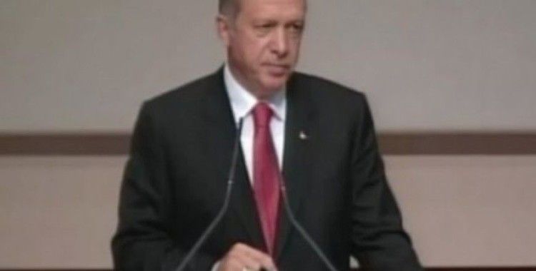Erdoğan, 'Paralel yapıyla mücadele kararlılığı da önemli bir etken'