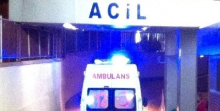 Sivas'ta kurt saldırısı 6 kişiyi hastanelik etti