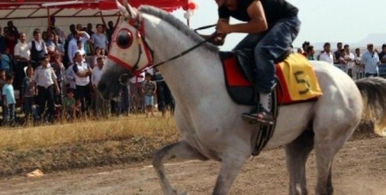 Ağrı'da 2014 Yılı At Yarışları yapıldı