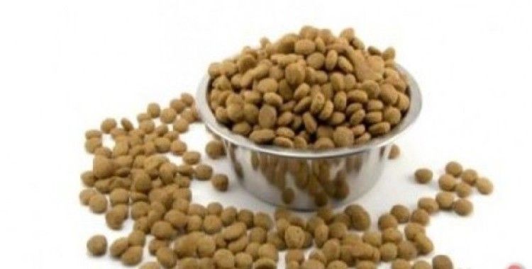 Комбикорма для животных. Корма для непродуктивных животных. Корма для непродуктивных животных. Сухой корм. Корм.