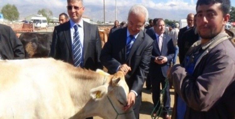 Başkan Başsoy hayvan pazarı ve mezbahanede incelemelerde bulundu