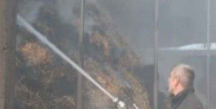 Bursa'da korkutan samanlık yangını