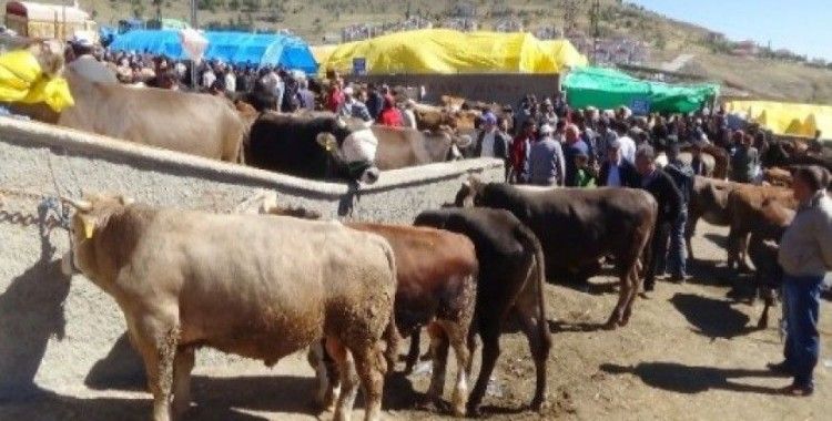 Yozgat'ta kurbanlık satışı hızlandı