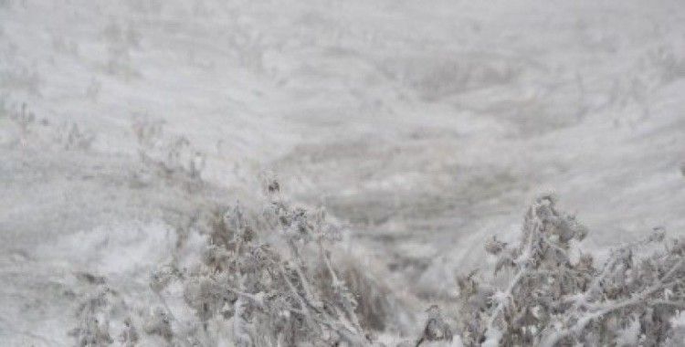 Ardahan'ın yüksek kesimlerinde kar yağışı
