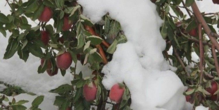Hakkari'de kar yağışı 500 bin TL'ye mal oldu