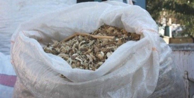 Afyonkarahisar'da jandarmadan uyuşturucu imalathanesine baskın